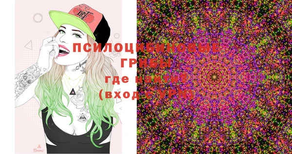 mix Касимов