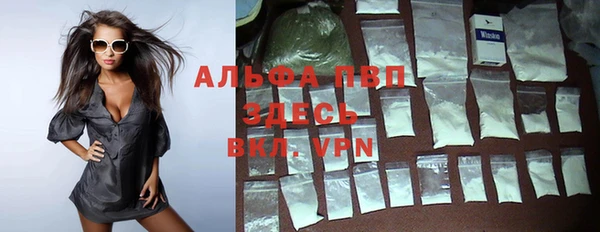 дживик Карпинск