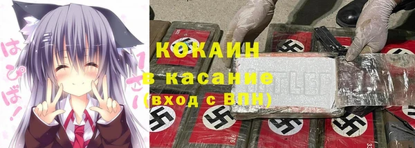 дживик Карпинск