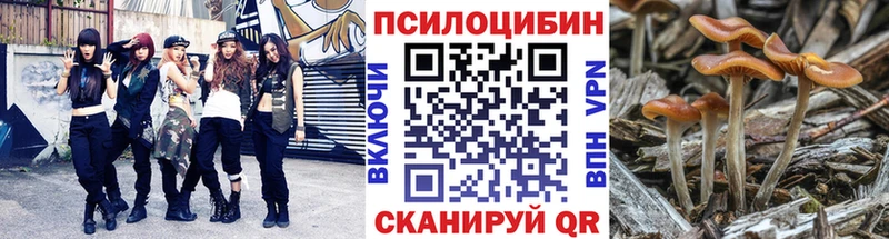 Псилоцибиновые грибы Magic Shrooms  Купить где  Белогорск 